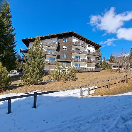 Damiez Apartment Лензерхайде Екстериор снимка